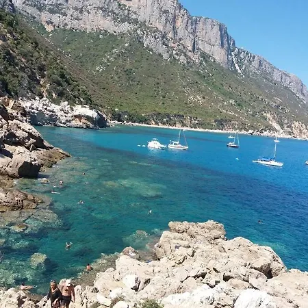 Dommu Biddasusu Baunei