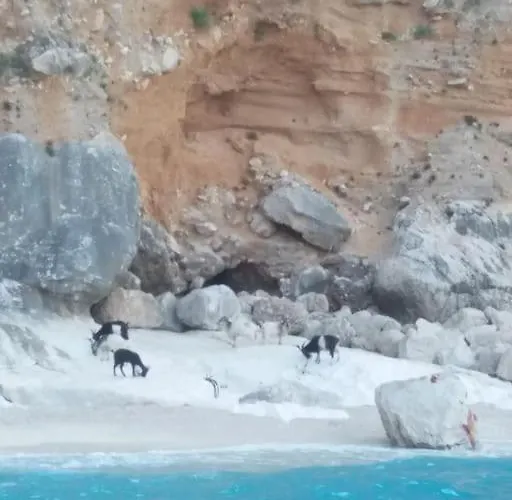 Apartamento Dommu Biddasusu *